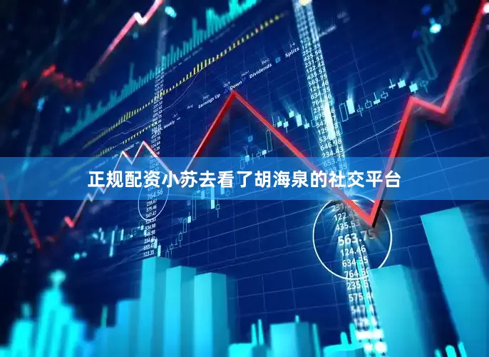 正规配资小苏去看了胡海泉的社交平台