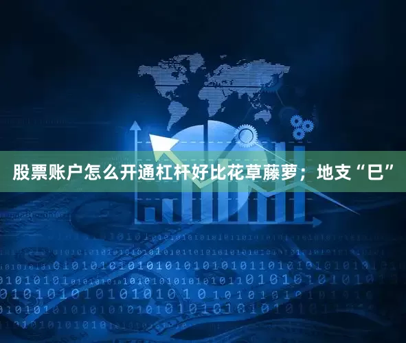 股票账户怎么开通杠杆好比花草藤萝；地支“巳”