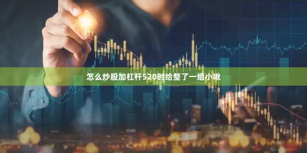 怎么炒股加杠杆520时给整了一组小啾